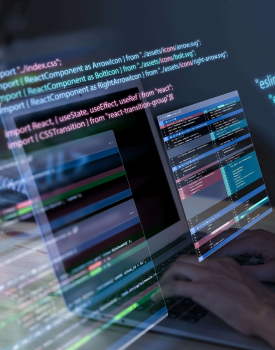 top web development companies